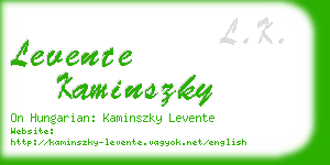 levente kaminszky business card